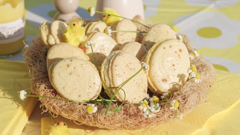 Paasmacarons met advocaat Paasmacarons met advocaat