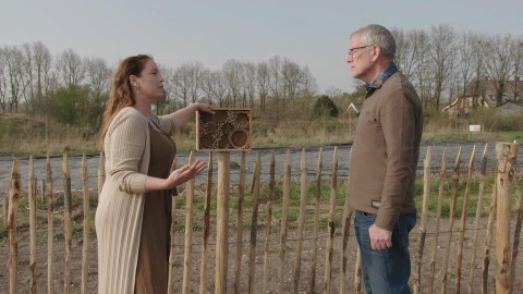 de jaarlijkse Bijentelling de jaarlijkse Bijentelling