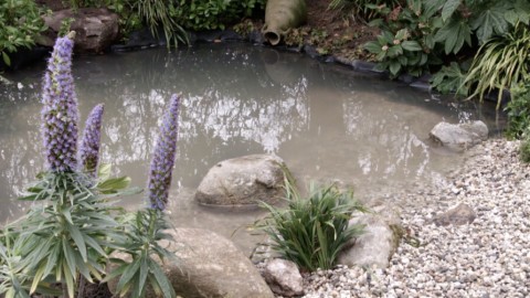 Tuinspecialist Martin is in Dordrecht om Ingrid en haar gezin te helpen met de voortuin. Er ligt nu een grote verzonken trampoline, waar de dochters van Ingrid nooit meer op springen. Die mag weg, maar wat te doen met het gapende gat? Tuin