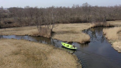 Waterbeestje Waterbeestje