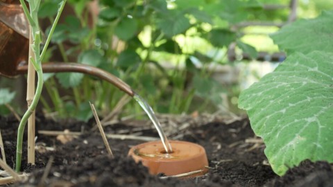 Duurzaam tuinieren met Anne - Olla Duurzaam tuinieren met Anne - Olla