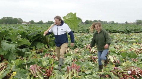 Corine wordt ook het rabarbermeisje van Mill genoemd. Chef-kok Leon Mazairac helpt een handje mee met het oogsten van dit grote gewas en krijgt zelfs de koningin van de rabarber en haar familie aan een koninklijk gerecht! Rabarber
