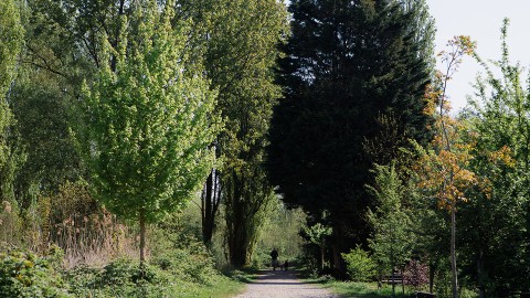 Essenburgpark Essenburgpark